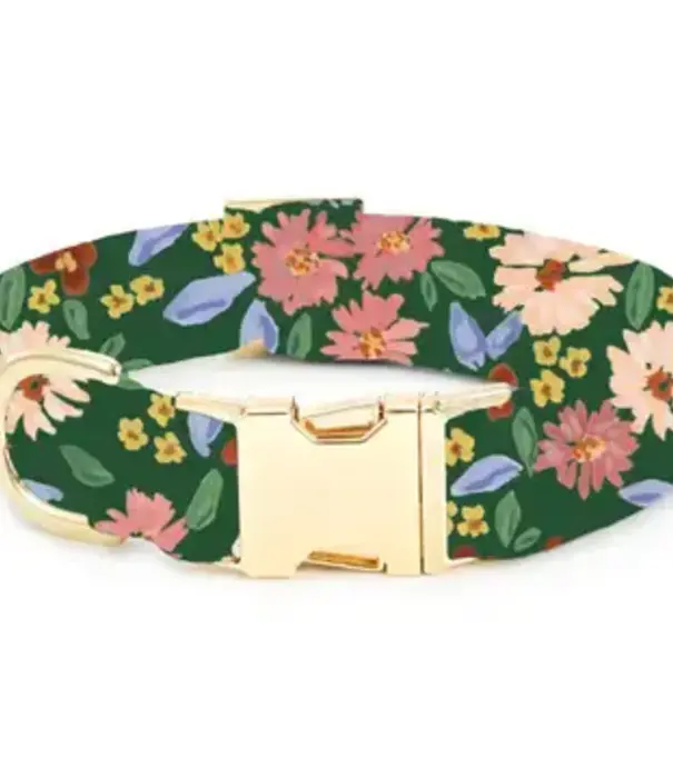The Foggy Dog The Foggy Dog Fall Collar
