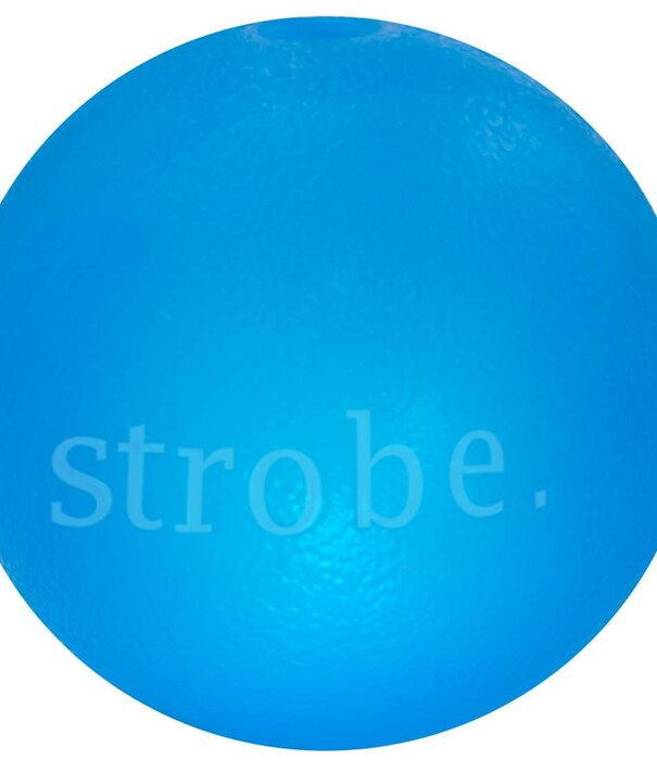 Planet Dog Strobe Ball