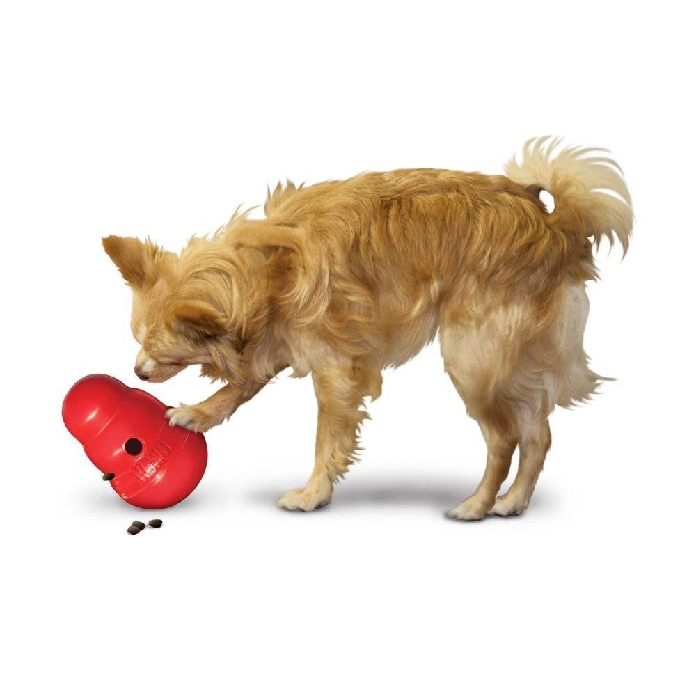 KONG Wobbler - Large, On Sale