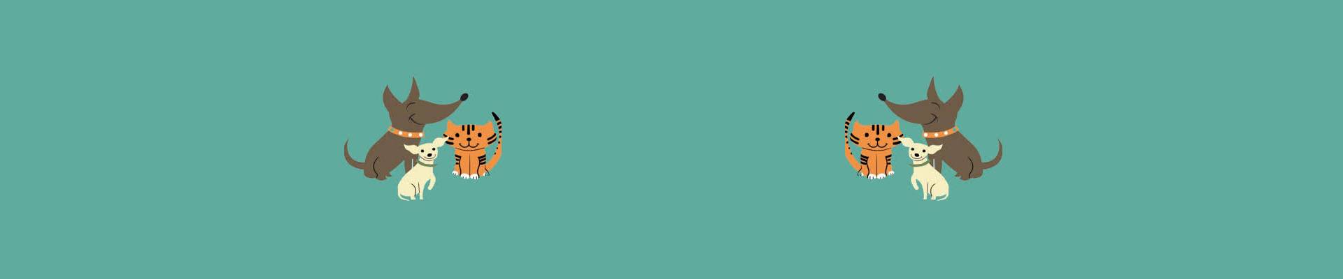 Footer
