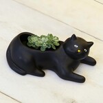 Kikkerland Cosmo The Black Cat Planter