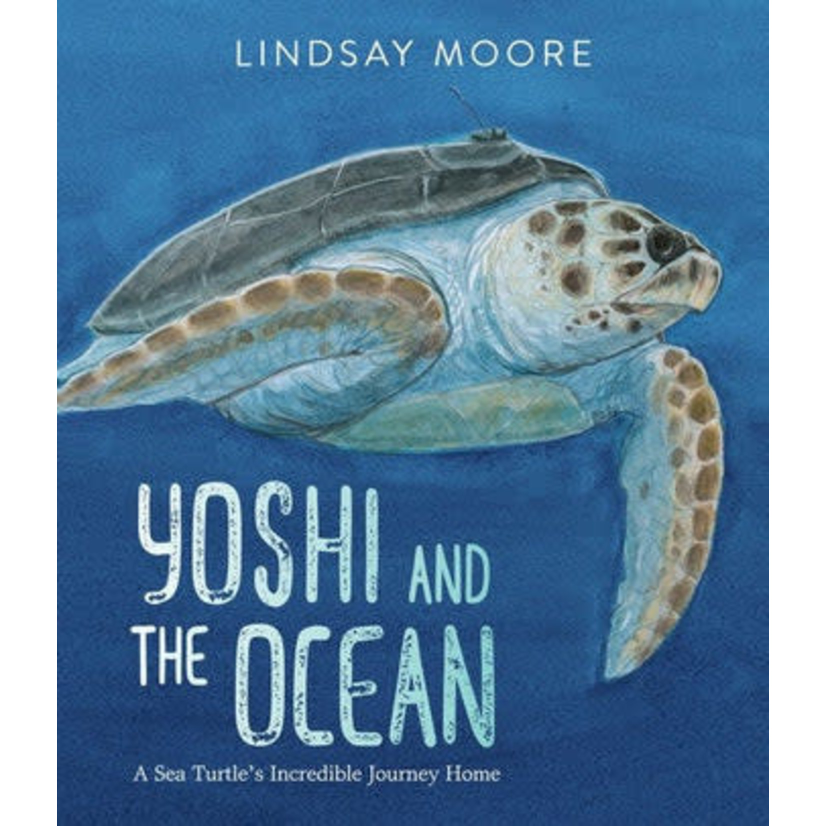 HarperCollinsPublishers Yoshi and the Ocean - Lindsay Moore