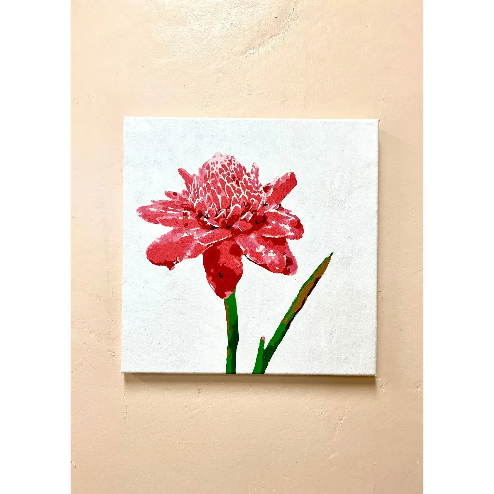 Hale Pua Pua Paint Kit: