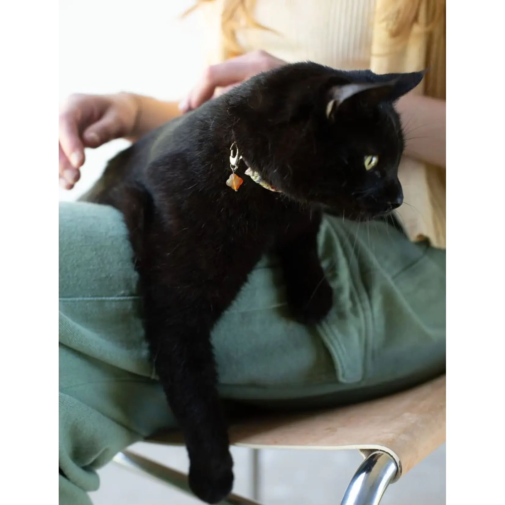 SoulKu Lucky Pet Charm