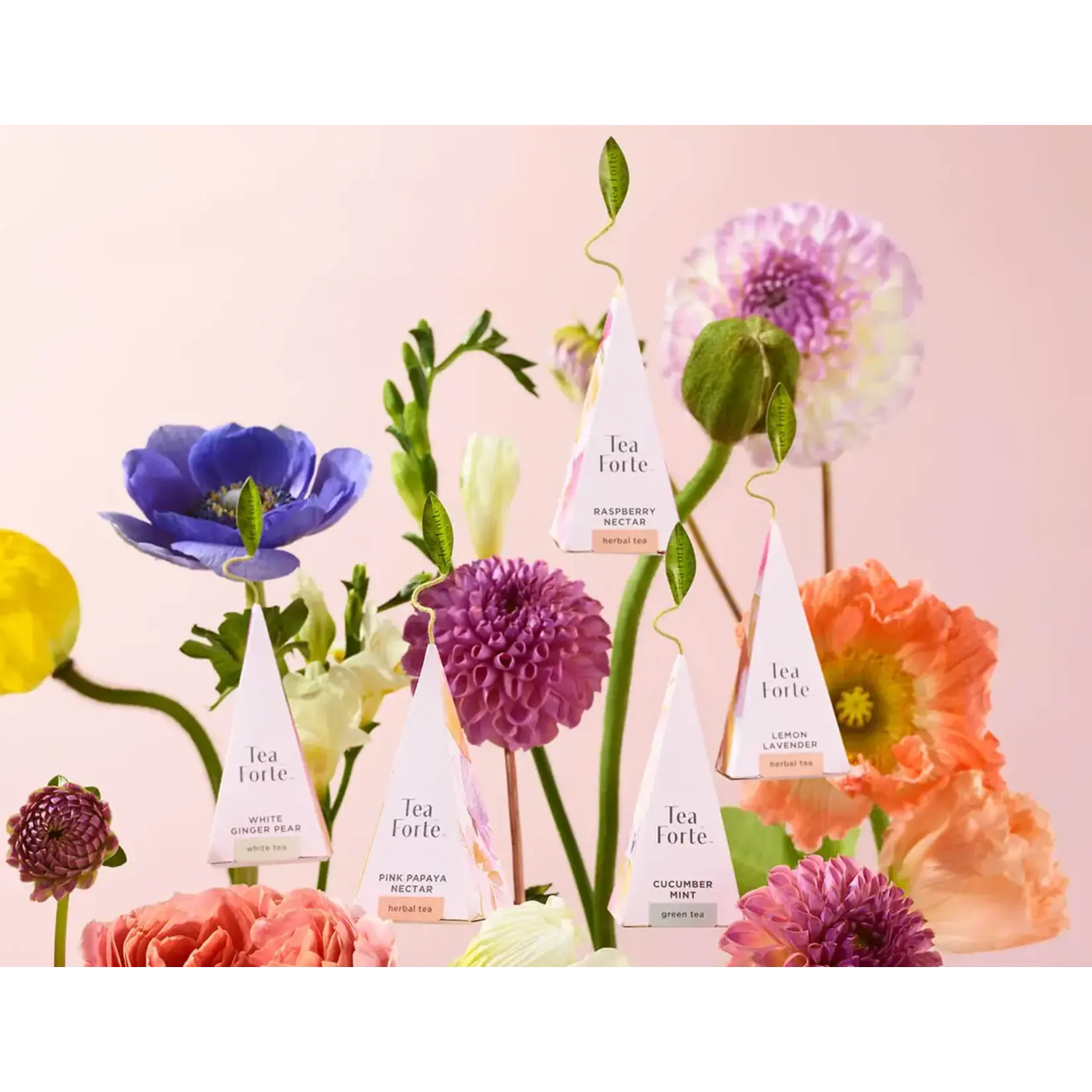 Tea Fortē Petite Presentation Box -