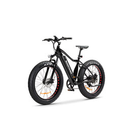 SLANE Slane, Santiago, Fat Tire, e-Bike