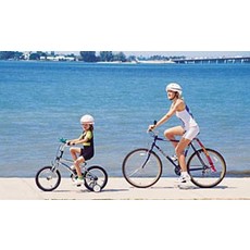 Trail Gator Trail-Gator, Tow Bar, Black, Reg $182.99
