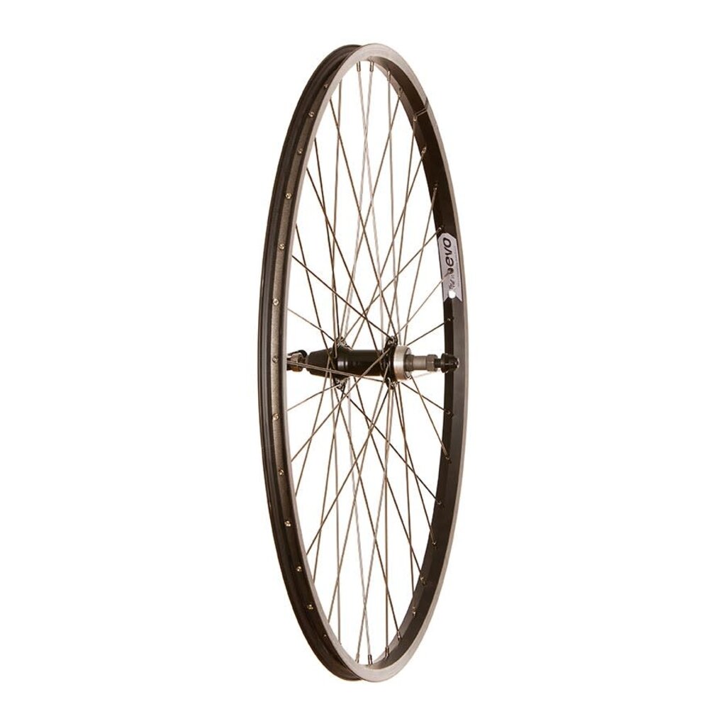 WHEEL SHOP Wheel Shop, Evo Tour 20, Wheel, Rear, 700C / 622, Holes: 36, QR, 135mm, Rim, Freewheel