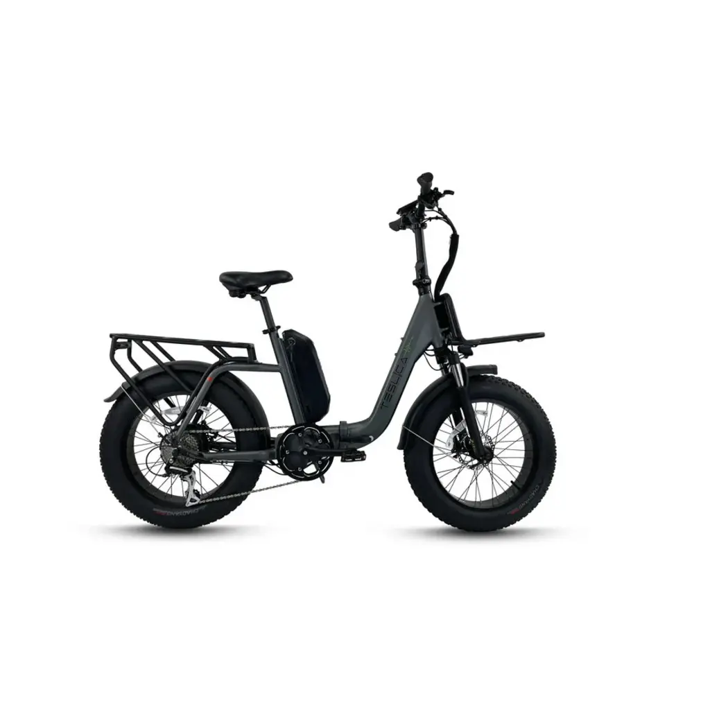 Teslica Teslica Inspire Foldable Fat Tire ebike N1S