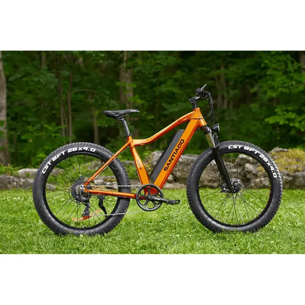 SLANE Slane, Santiago, Fat Tire, e-Bike