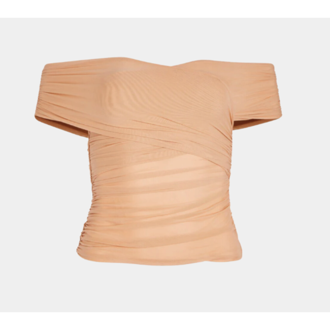 Aruba Mesh Top