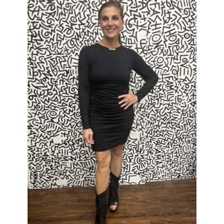Velvet (By Graham & Spencer) Long Sleeve Dress
