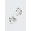Silver Earring