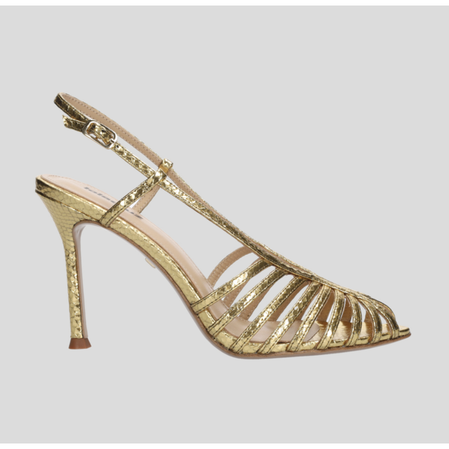 Diana Heel