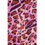 Leopard Print Buttoned Shirt