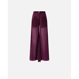 Pinko Donald Pantalone