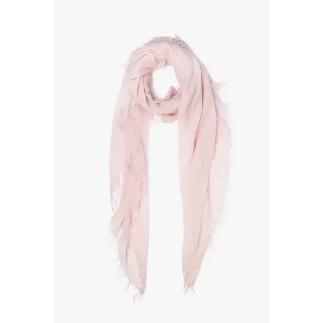Cashmere / Silk Scarves