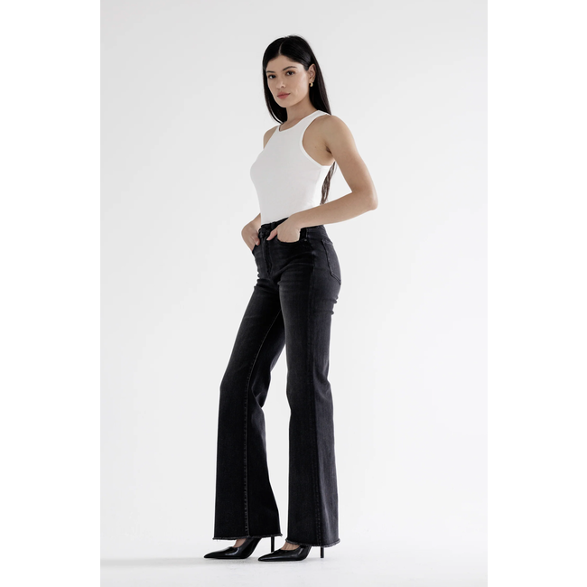 High Rise Vintage Flare Jean