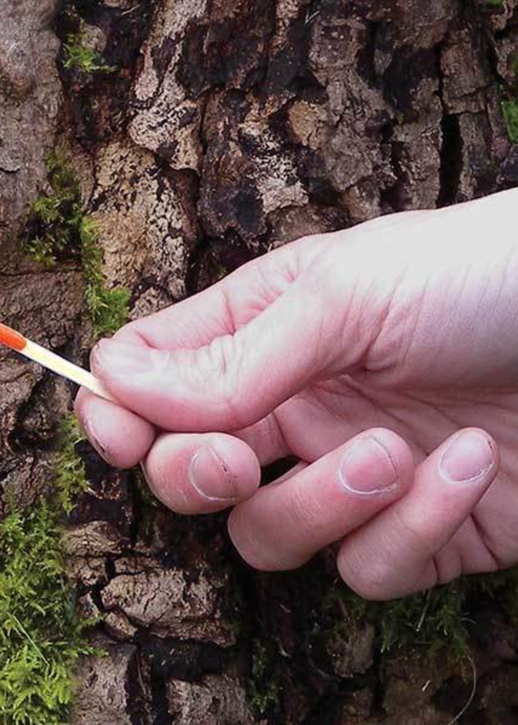 UCO Stormproof Match Kit with container