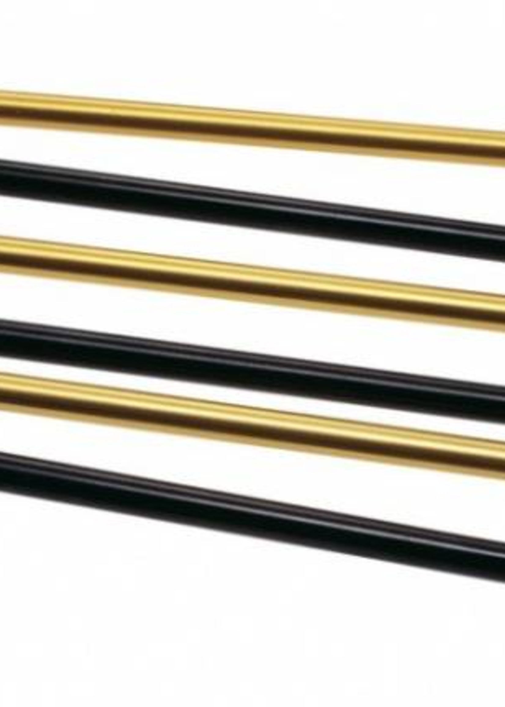 Camp USA Light Avalanche Probe