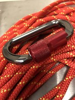 Safety One Safety One Branded Carabiner - Aluminum with ANSI Gate, Gray/Red