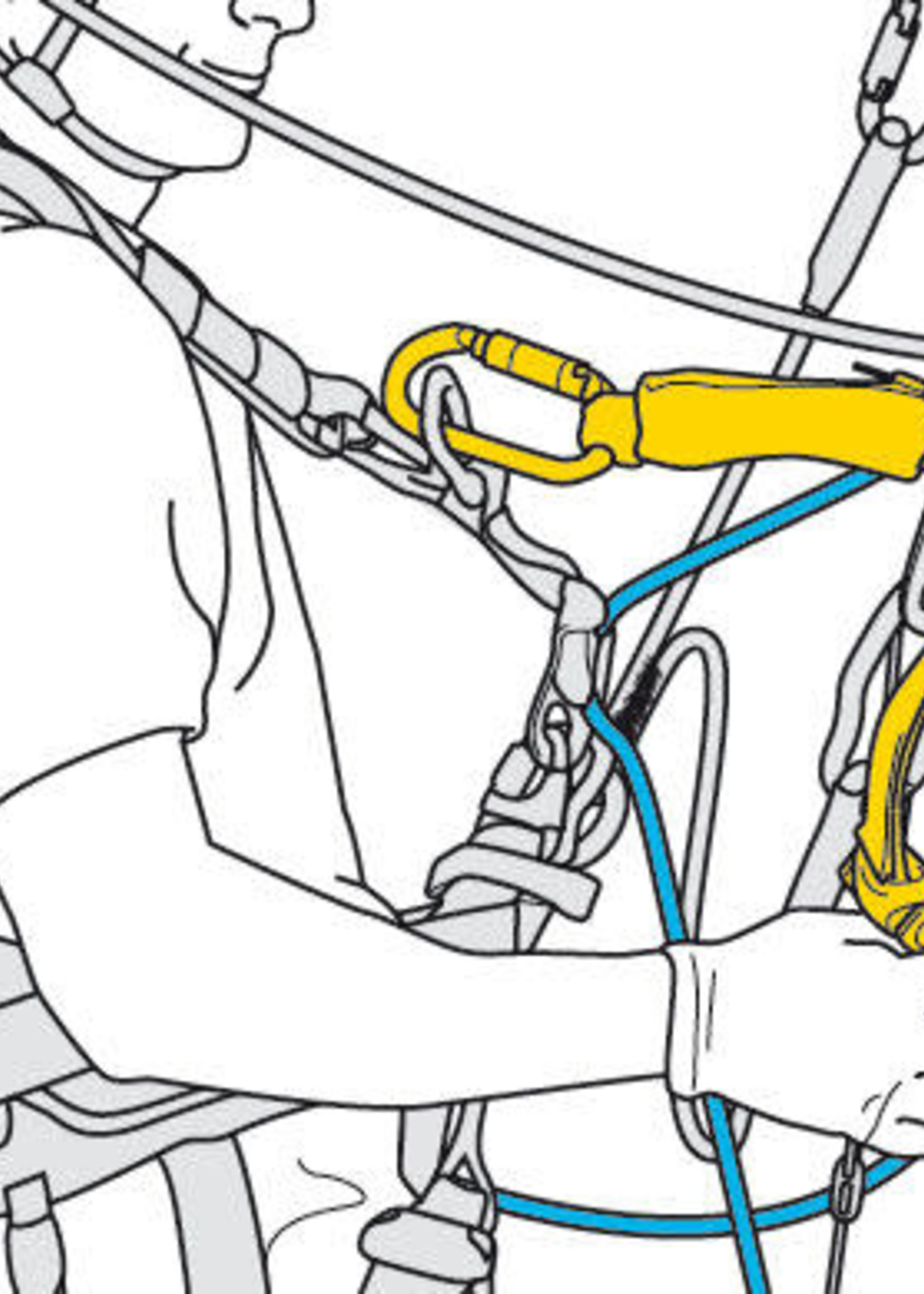 Petzl America Petzl ASAP Lock