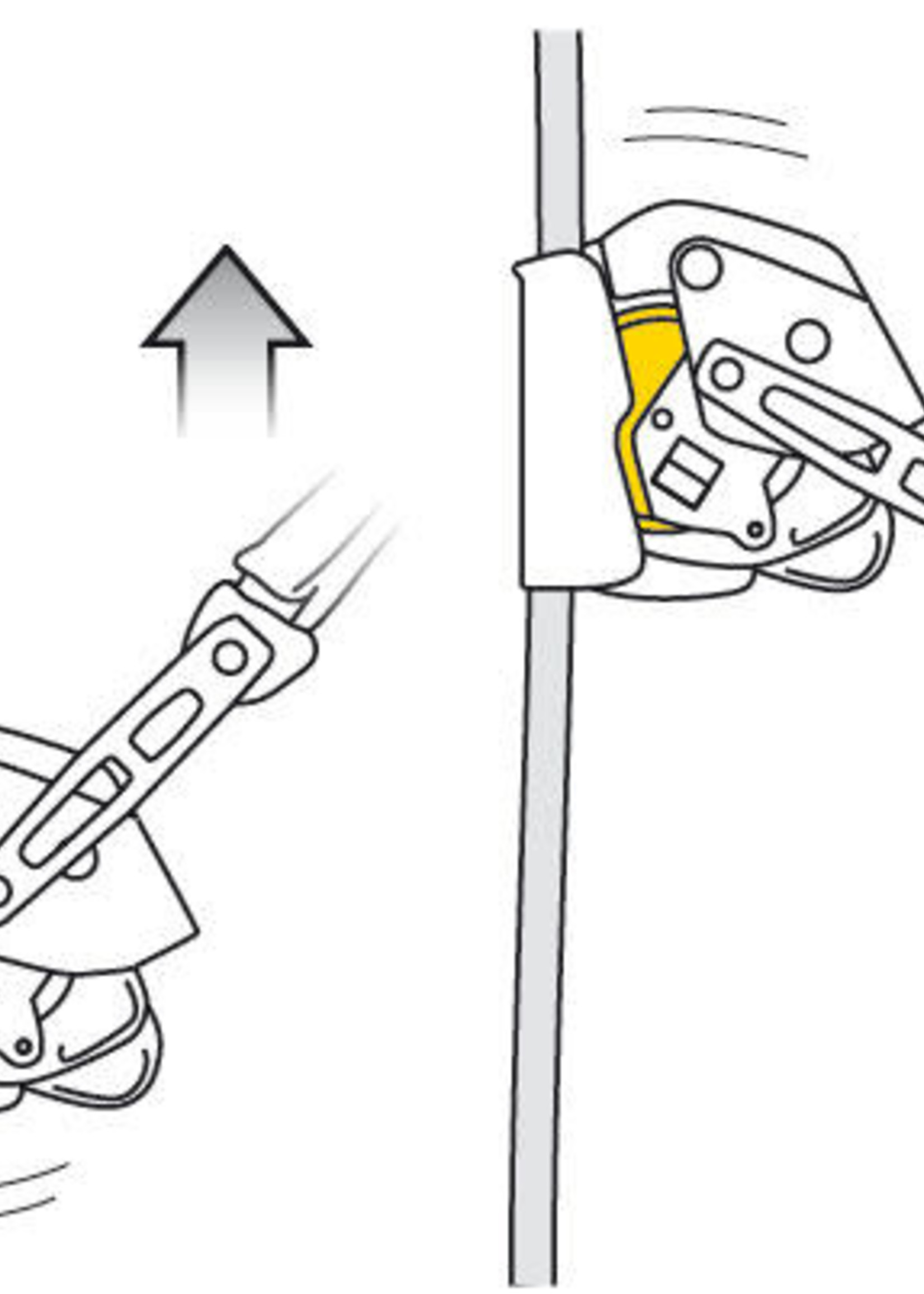 Petzl America Petzl ASAP Lock