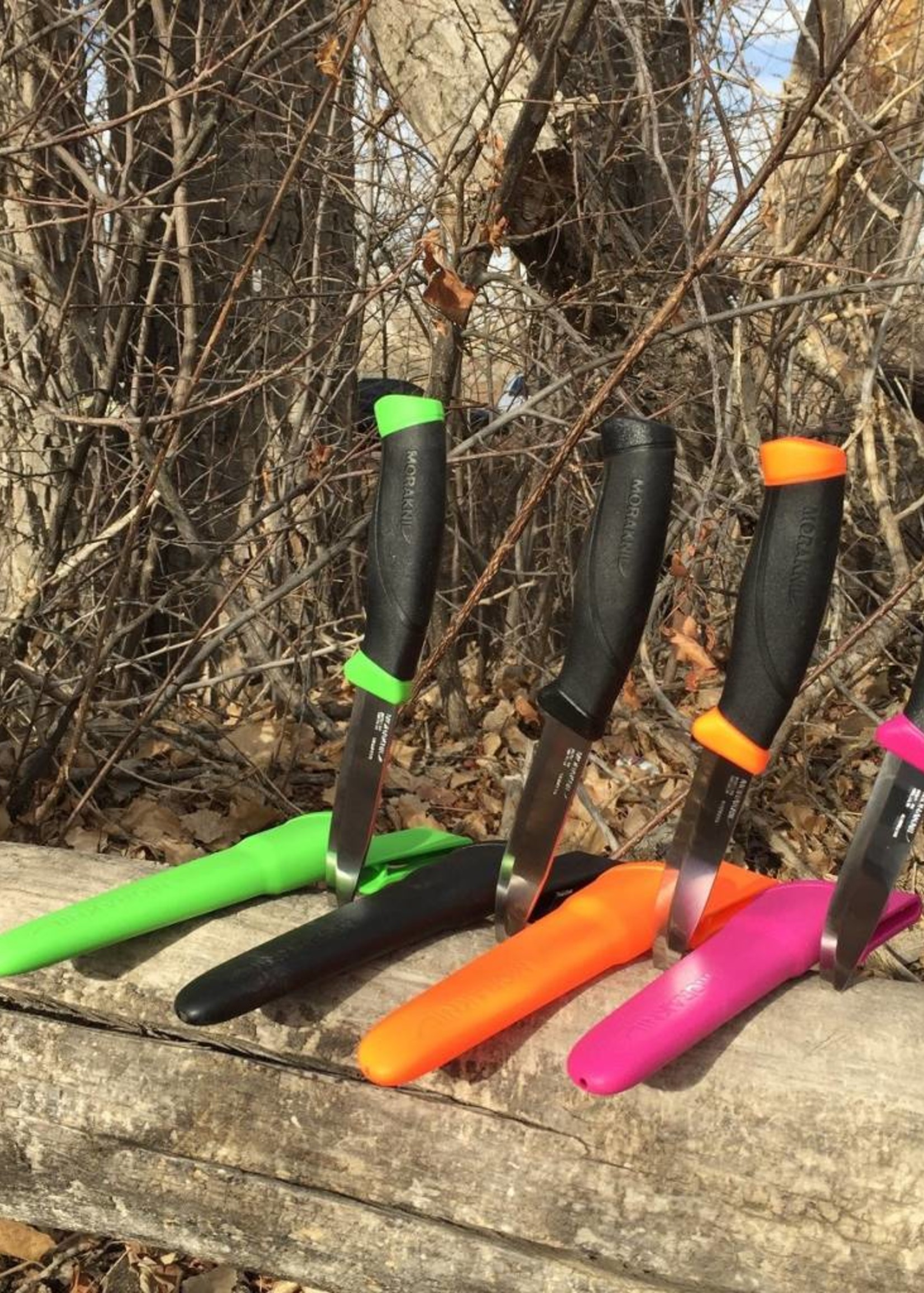 MORAKNIV MORAKNIV COMPANION KNIFE ASST