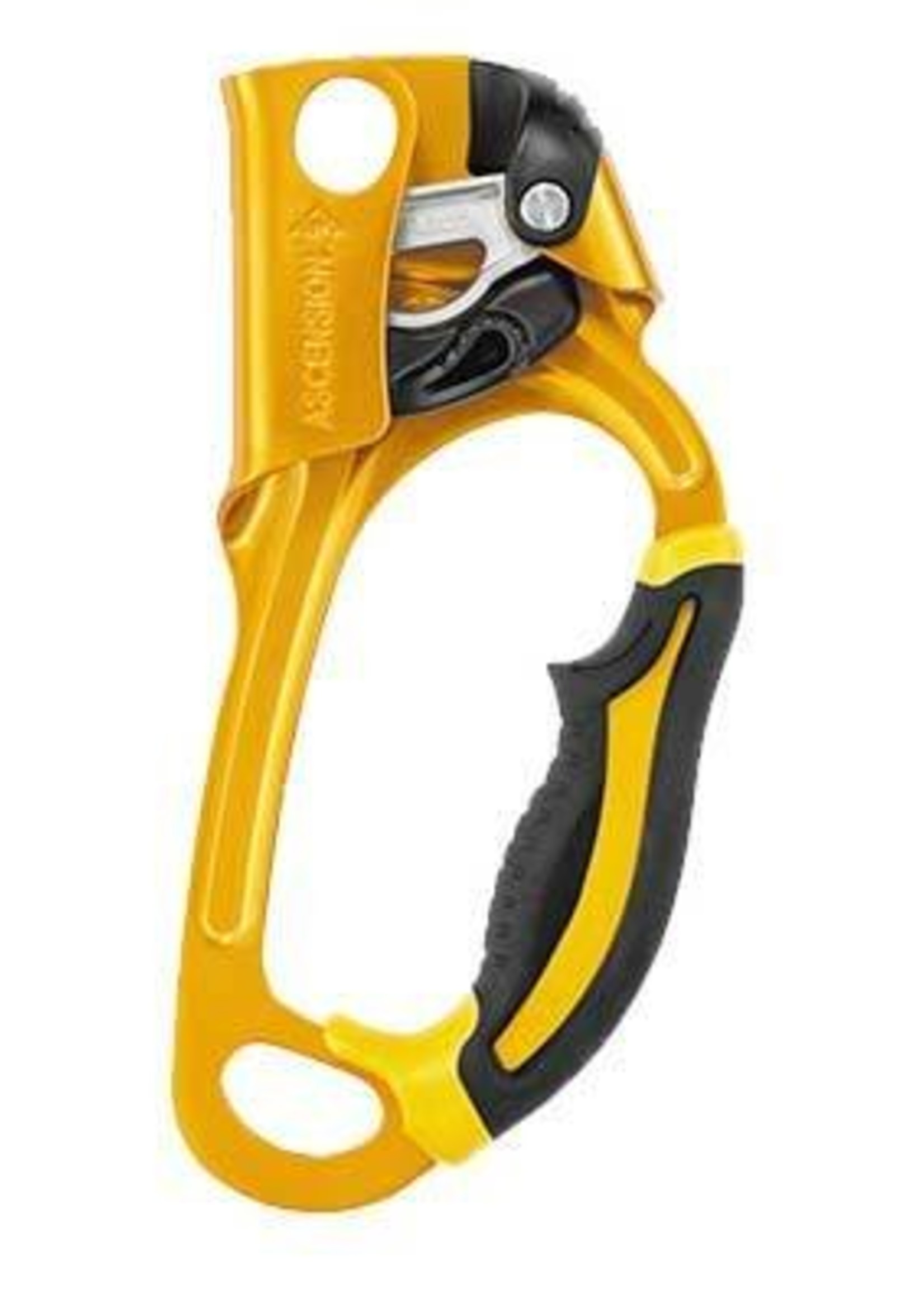 Petzl America Ascension Lightweight Ascender,