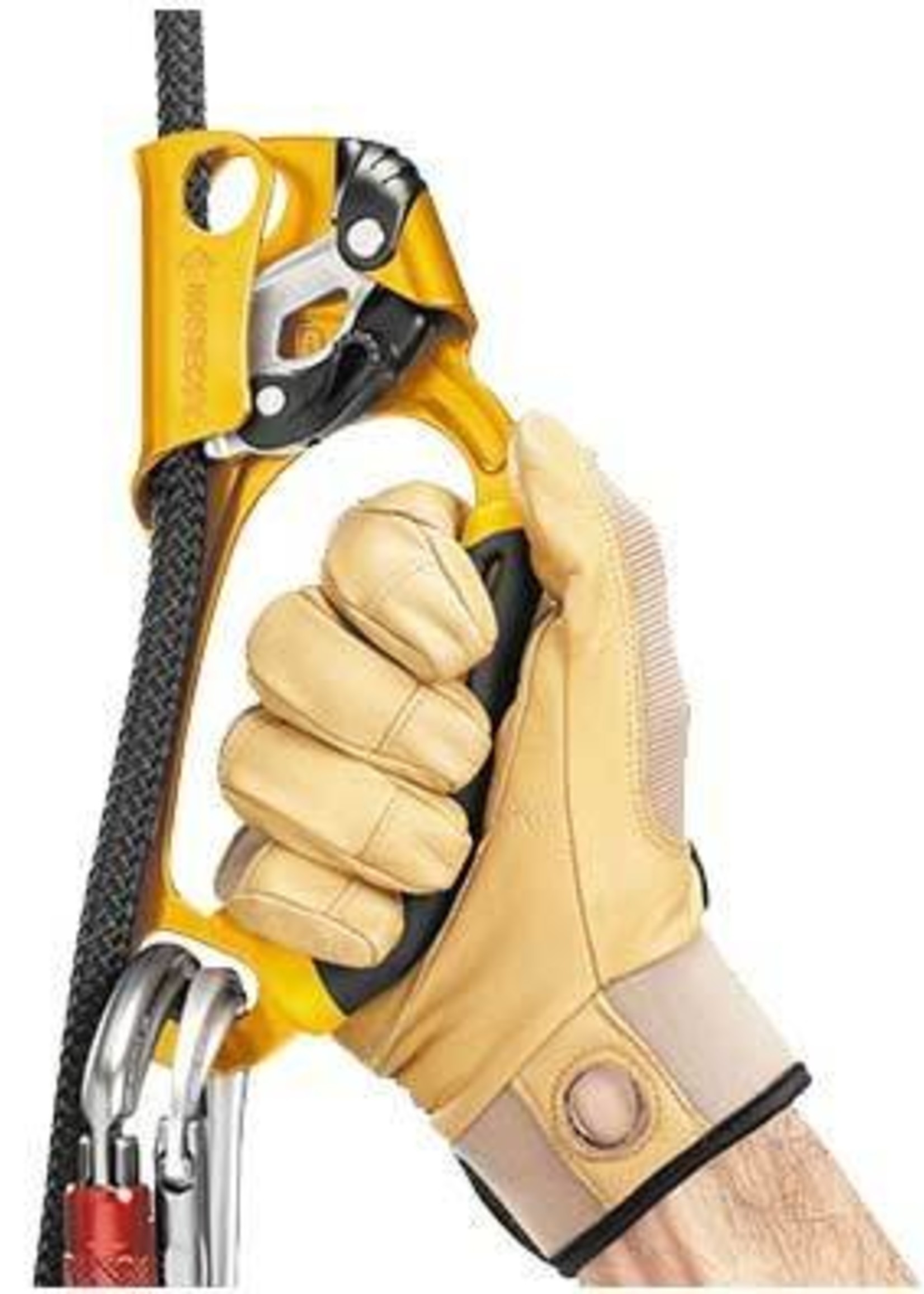 Petzl America Ascension Lightweight Ascender,