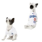 Pet Jerseys