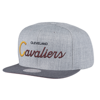 Mitchell and Ness Cleveland Cavaliers Mitchell & Ness Tri Pop Special Script Snapback Gray