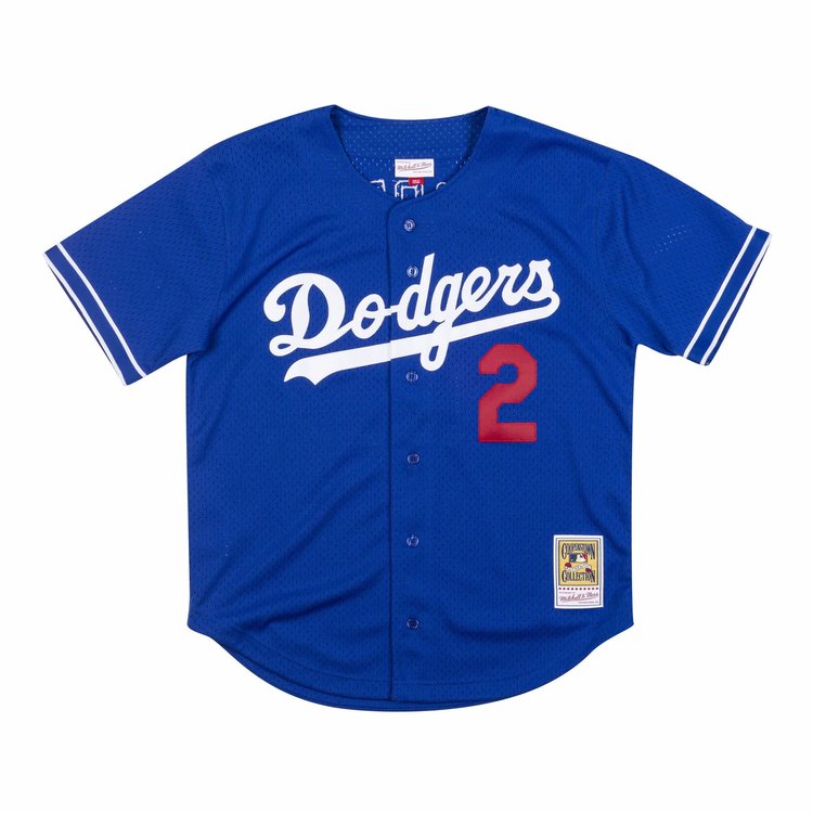 Mitchell and Ness MLB Los Angeles Dodgers Men's Mitchell and Ness 1995 Authentic Mesh BP Tommy Lasorda #2 Jersey Royal