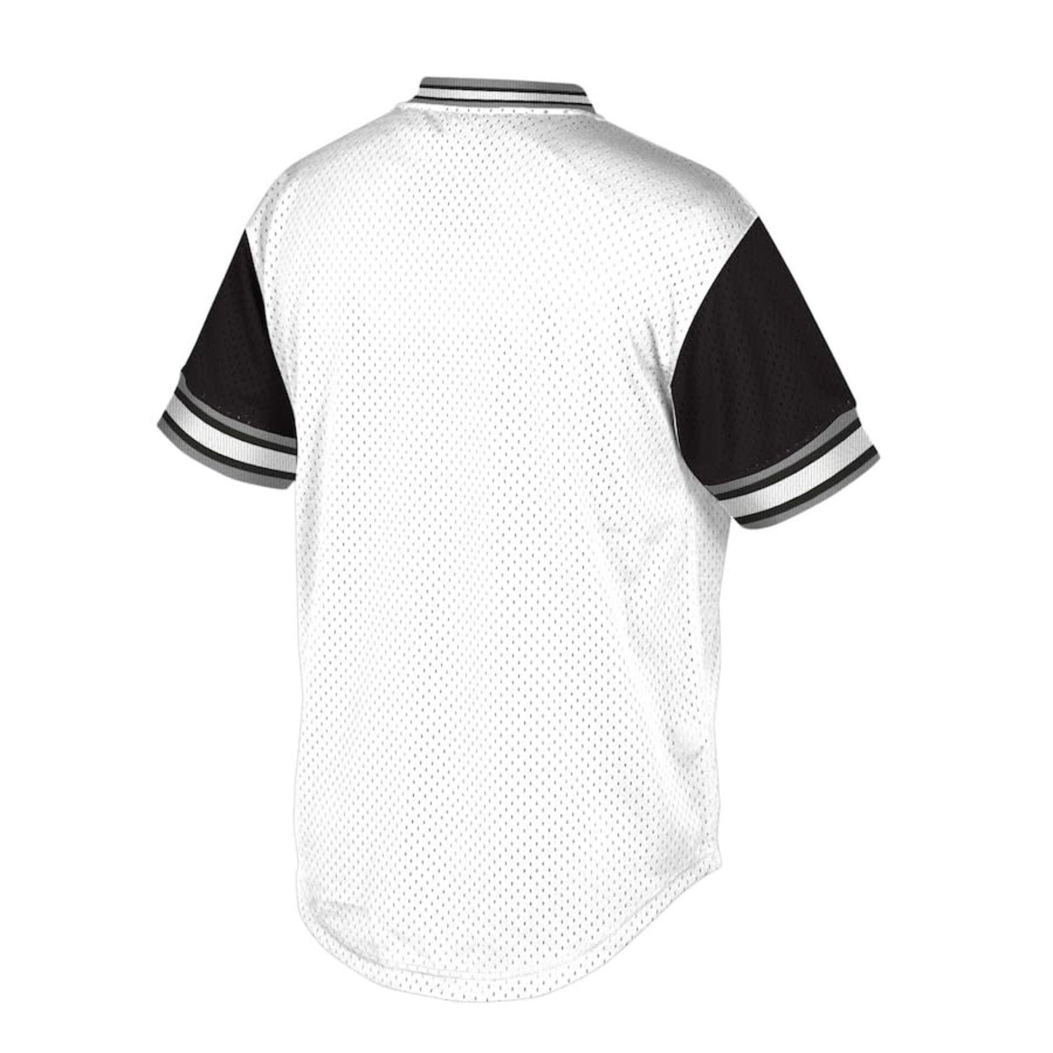 Men's Las Vegas Raiders Mitchell & Ness White/Black Mesh V-Neck T-Shirt