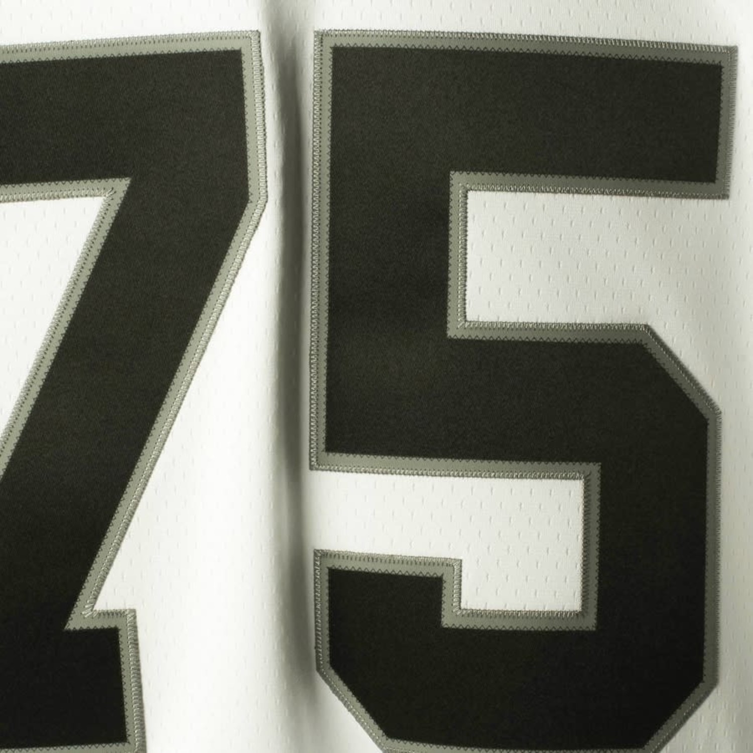 NFL Los Angeles Raiders Men's Mitchell & Ness 1988 Howie Long #75 Jersey  White - The Locker Room of Downey