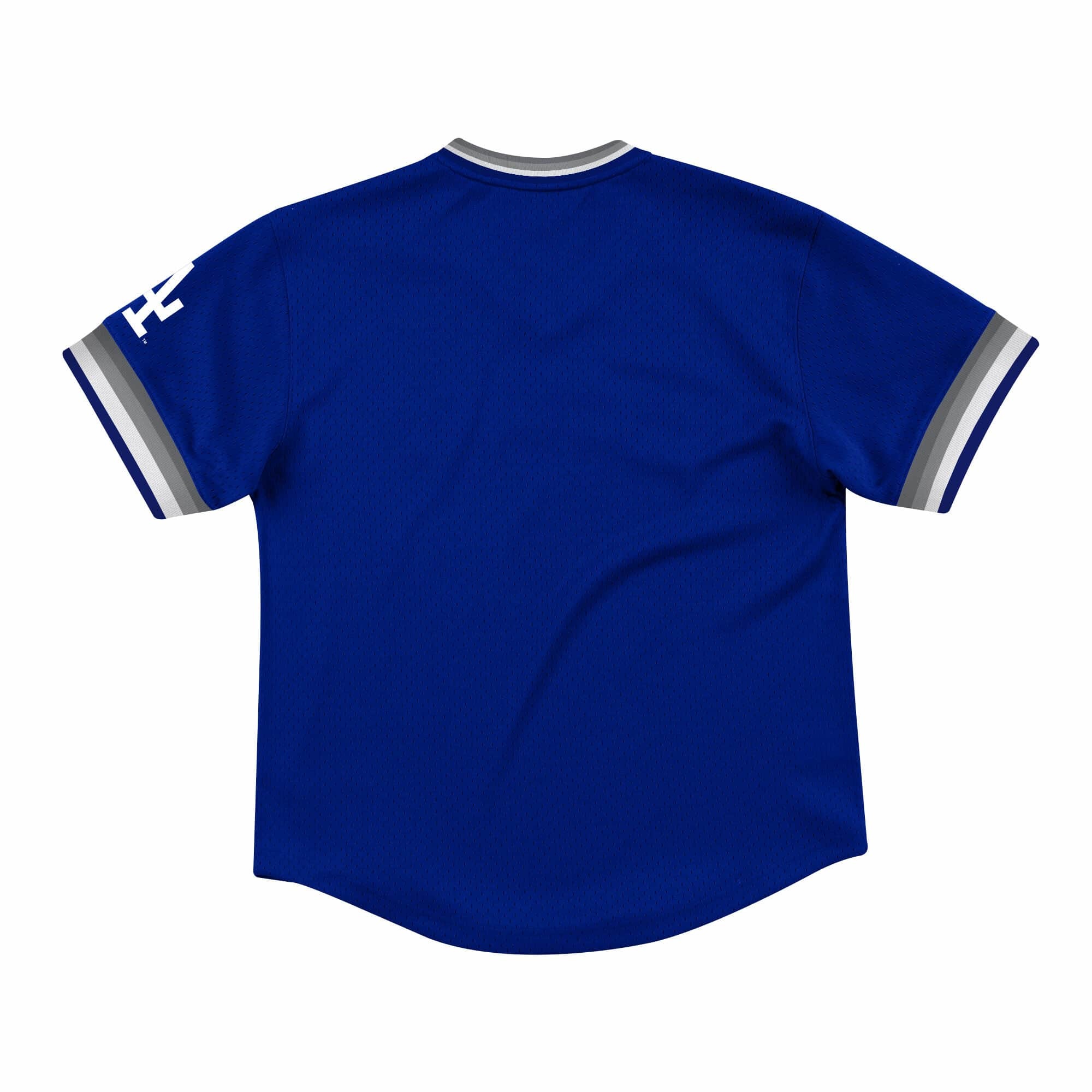 LA Dodgers Mitchell & Ness Special Script Mesh V-Neck Royal - The Locker  Room of Downey