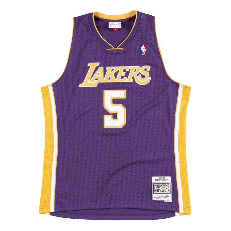 Mitchell and Ness LA Lakers Men's Mitchell & Ness 1999-2000 Robert Horry #5 Replica Purple/Gold Jersey
