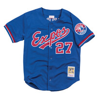 Mitchell and Ness MLB Montreal Expos Men's Mitchell and Ness 2002 Authentic Mesh BP Vladimir Guerrero #27 Jersey Royal