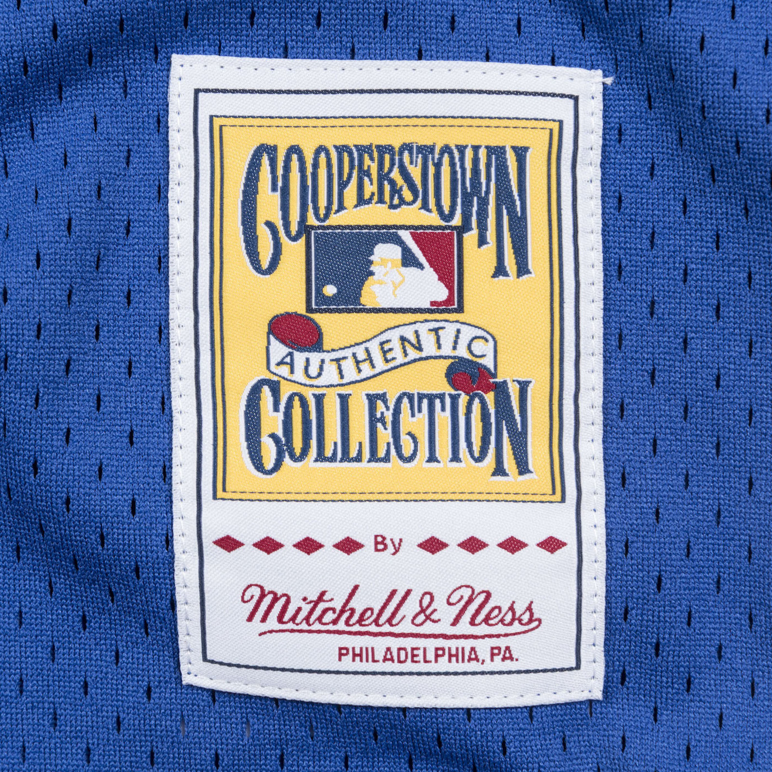 Men's Montreal Expos Vladimir Guerrero Mitchell & Ness Blue Cooperstow –  Bleacher Bum Collectibles