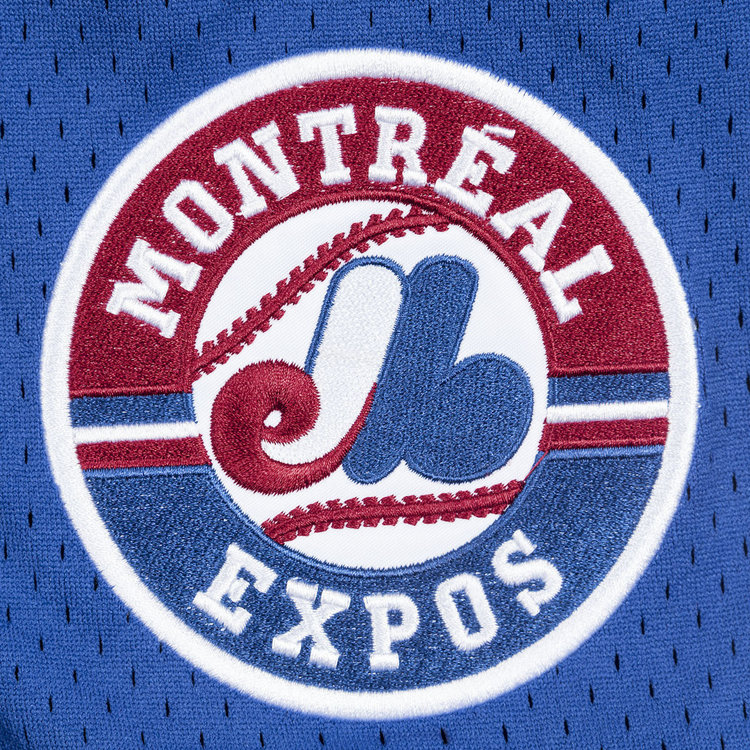 Mitchell and Ness MLB Montreal Expos Men's Mitchell and Ness 2002 Authentic Mesh BP Vladimir Guerrero #27 Jersey Royal