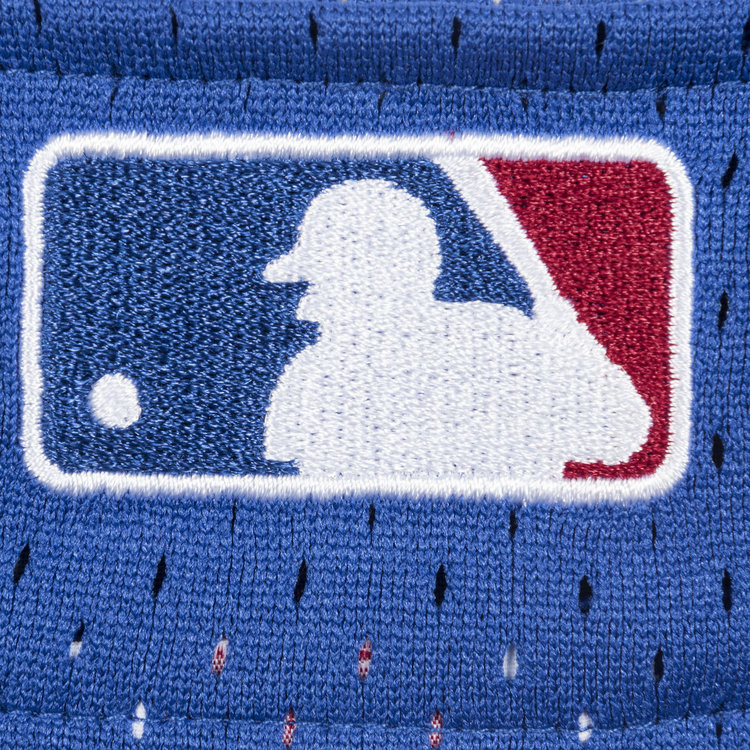 Mitchell and Ness MLB Montreal Expos Men's Mitchell and Ness 2002 Authentic Mesh BP Vladimir Guerrero #27 Jersey Royal