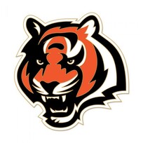 Wincraft Logo Pin NFL Bengals
