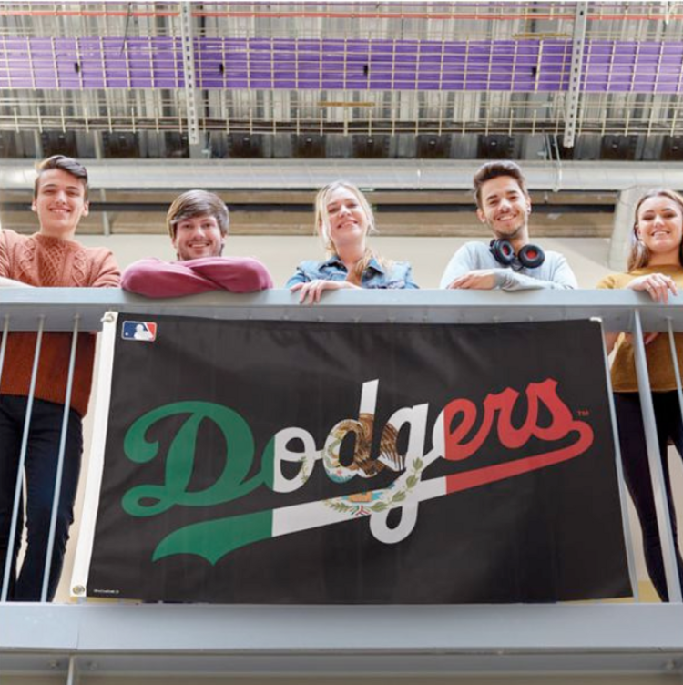 Wincraft MLB LA Dodgers Black Wordmark MX Flag Background Deluxe 3'x5' Flag