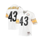 Mitchell & Ness Men's Pittsburgh Steelers Troy Polamalu #43 2005