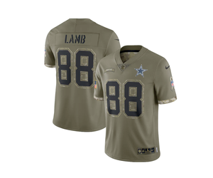Nike Dallas Cowboys No24 Chidobe Awuzie Olive Youth Stitched NFL Limited 2017 Salute to Service Jersey