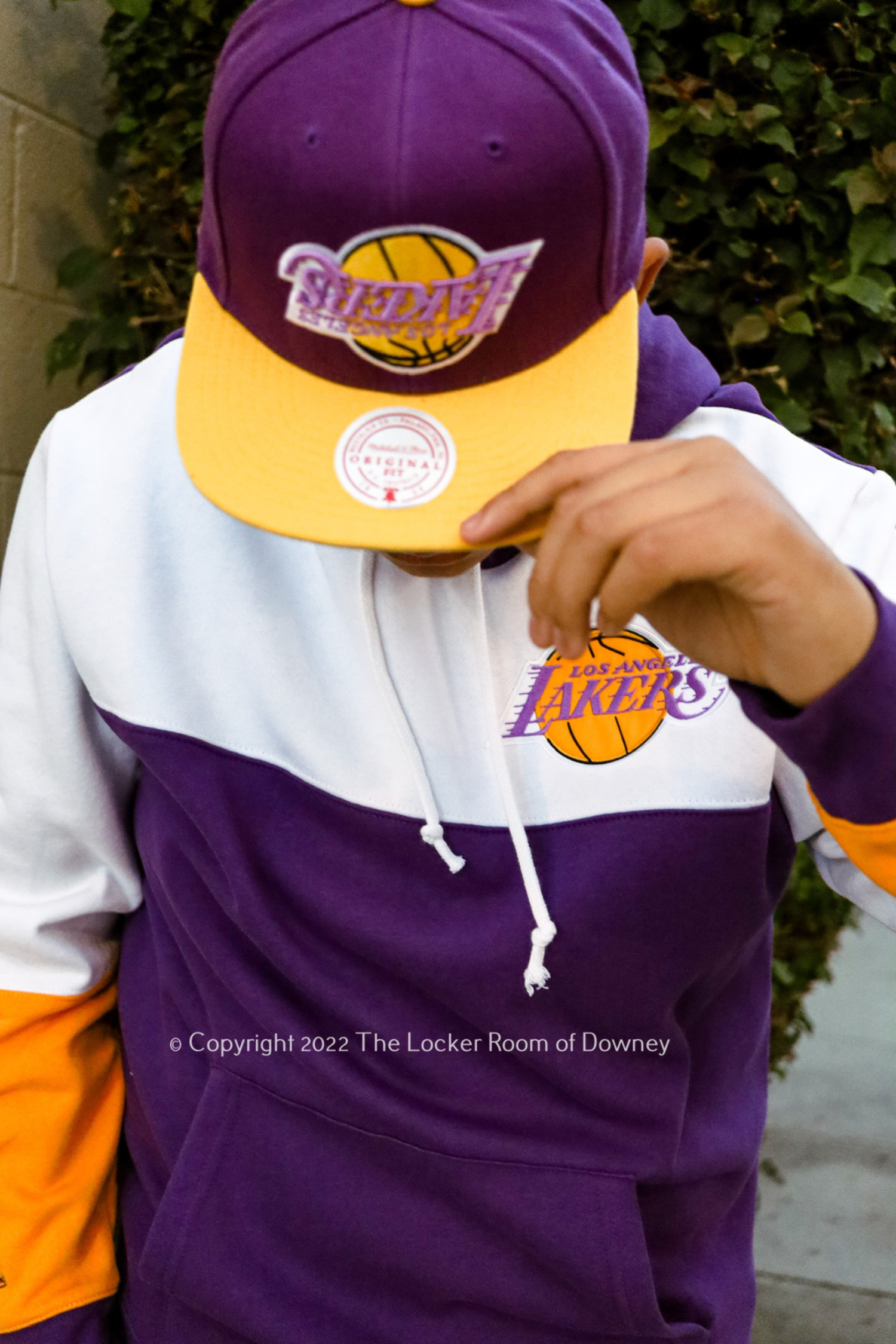 Buy the Mitchell & Ness Men Purple Lakers Hoodie XL