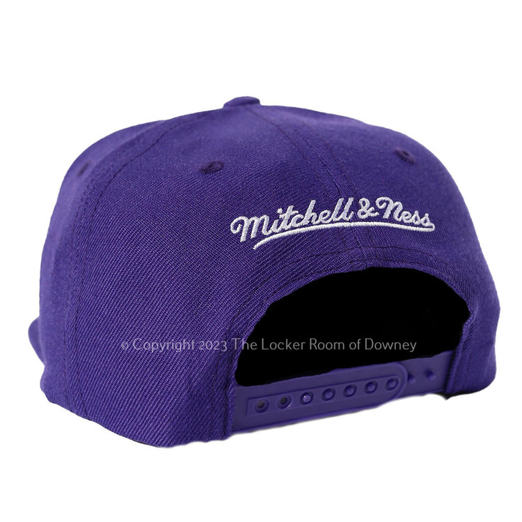Mitchell and Ness NBA LA Lakers  M&N Team Ground 2.0 Snapback Purple