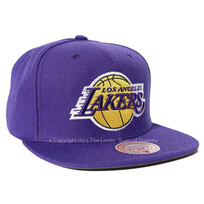 Mitchell and Ness NBA LA Lakers  M&N Team Ground 2.0 Snapback Purple