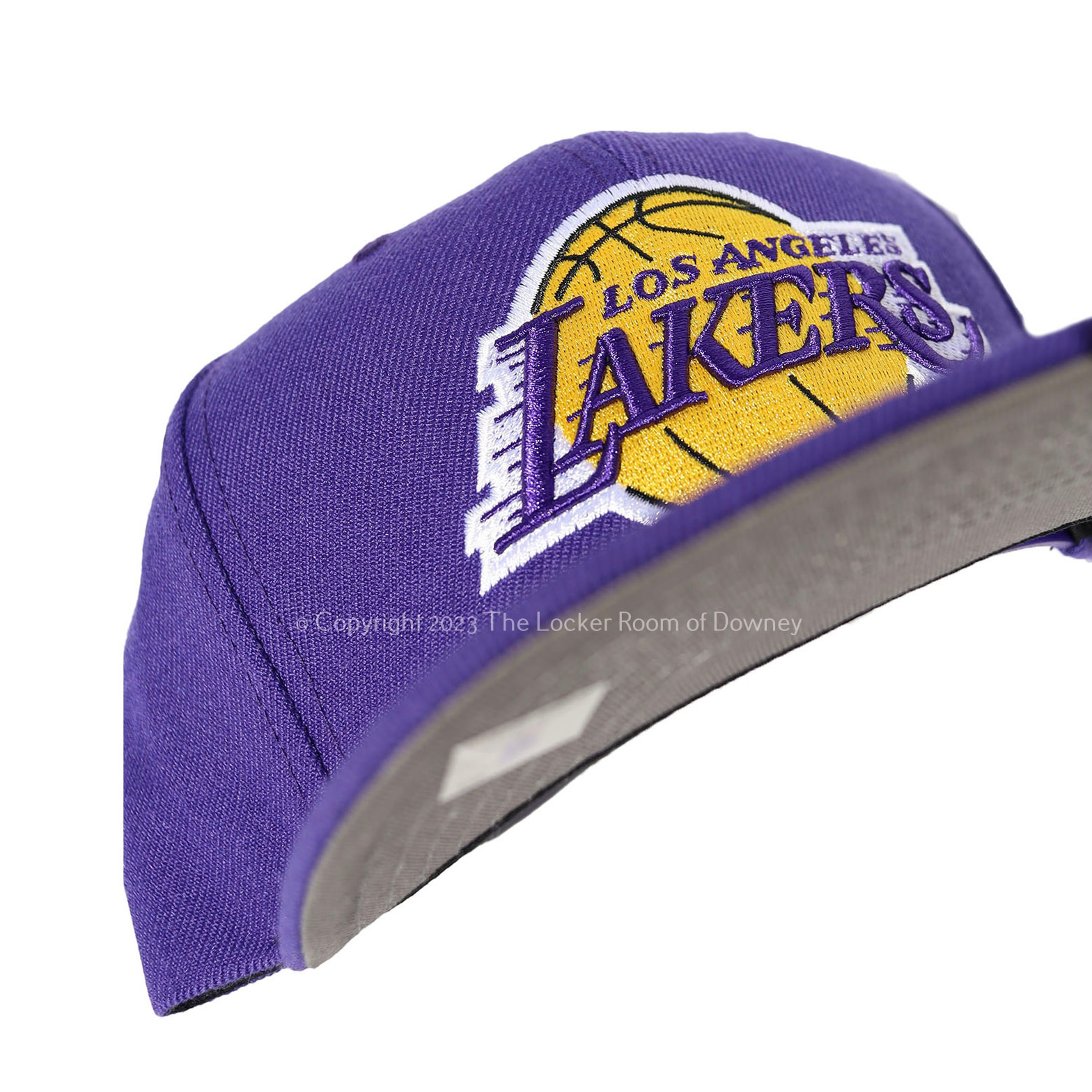 New Era Team Graphic Trucker Lakers Cap (purple)