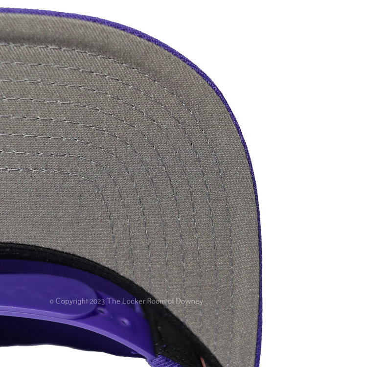 Mitchell and Ness NBA LA Lakers  M&N Team Ground 2.0 Snapback Purple